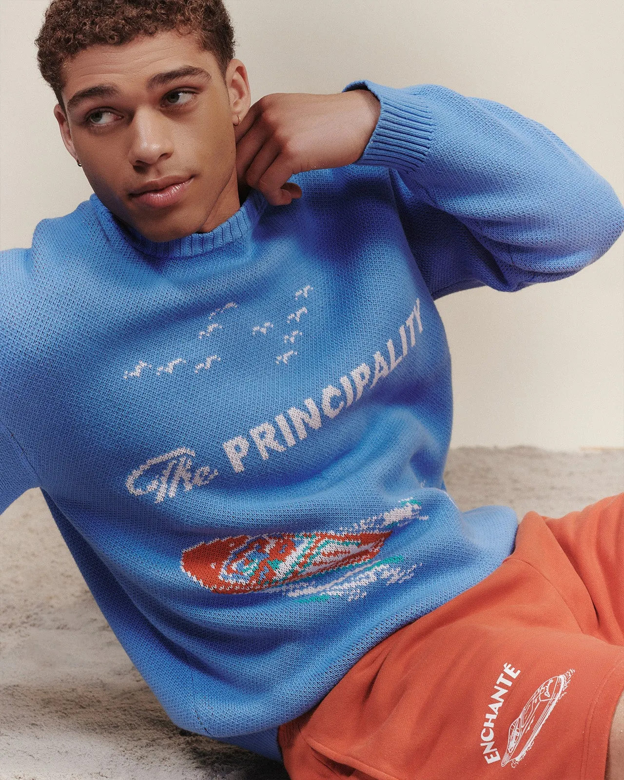 Stylish Principality Sweater