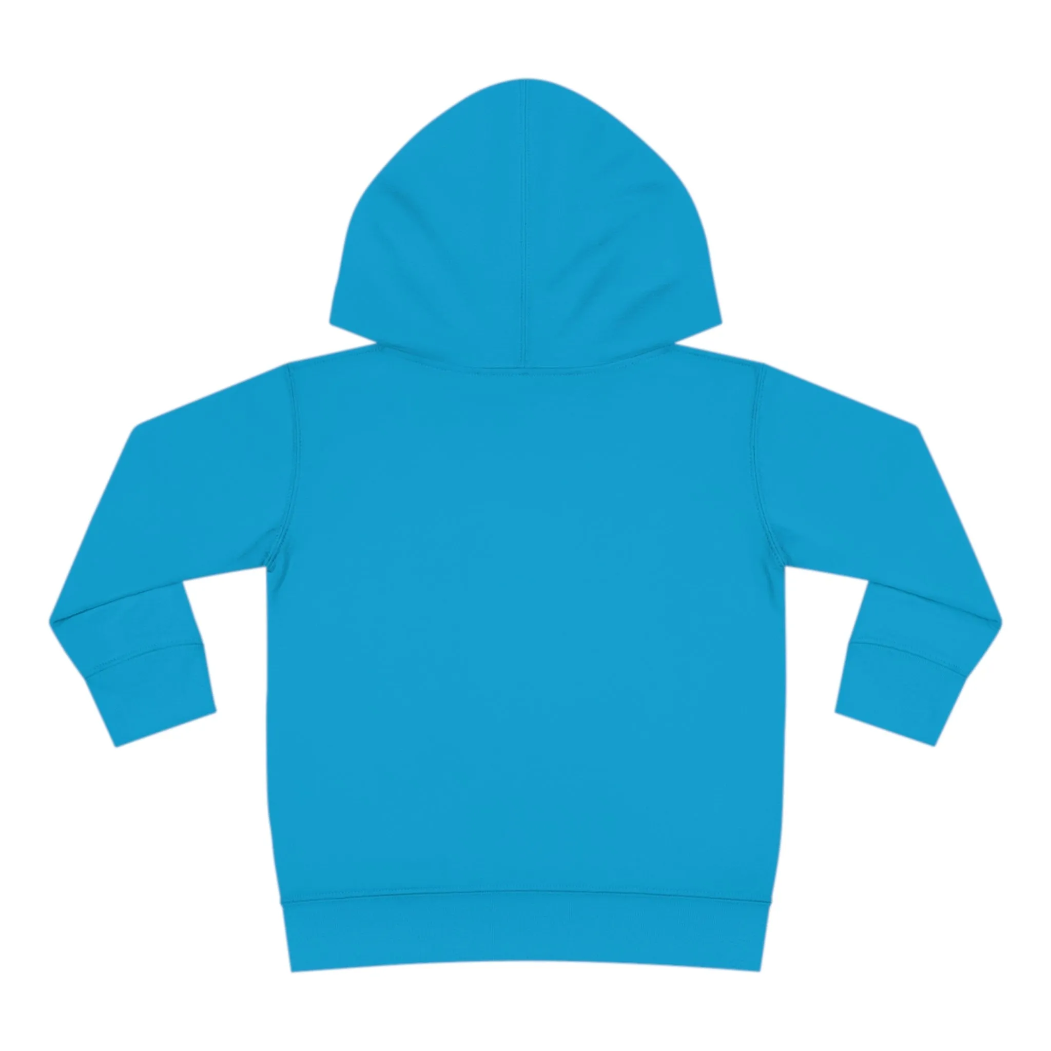 Wish Me Luck Bear Toddler Pullover Fleece Hoodie